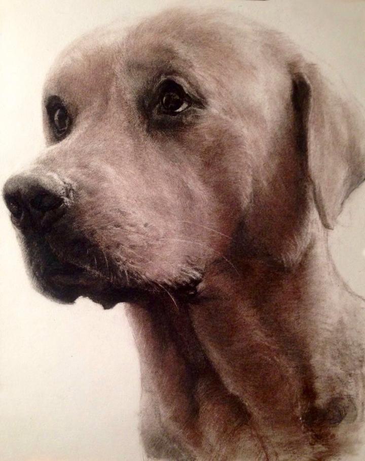 微信图片_20171227141036