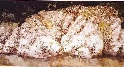 微信图片_20180104150224