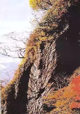 微信图片_20180104150250