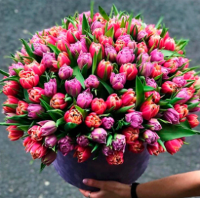 Как заказать цветы советы и рекомендации для идеального букета